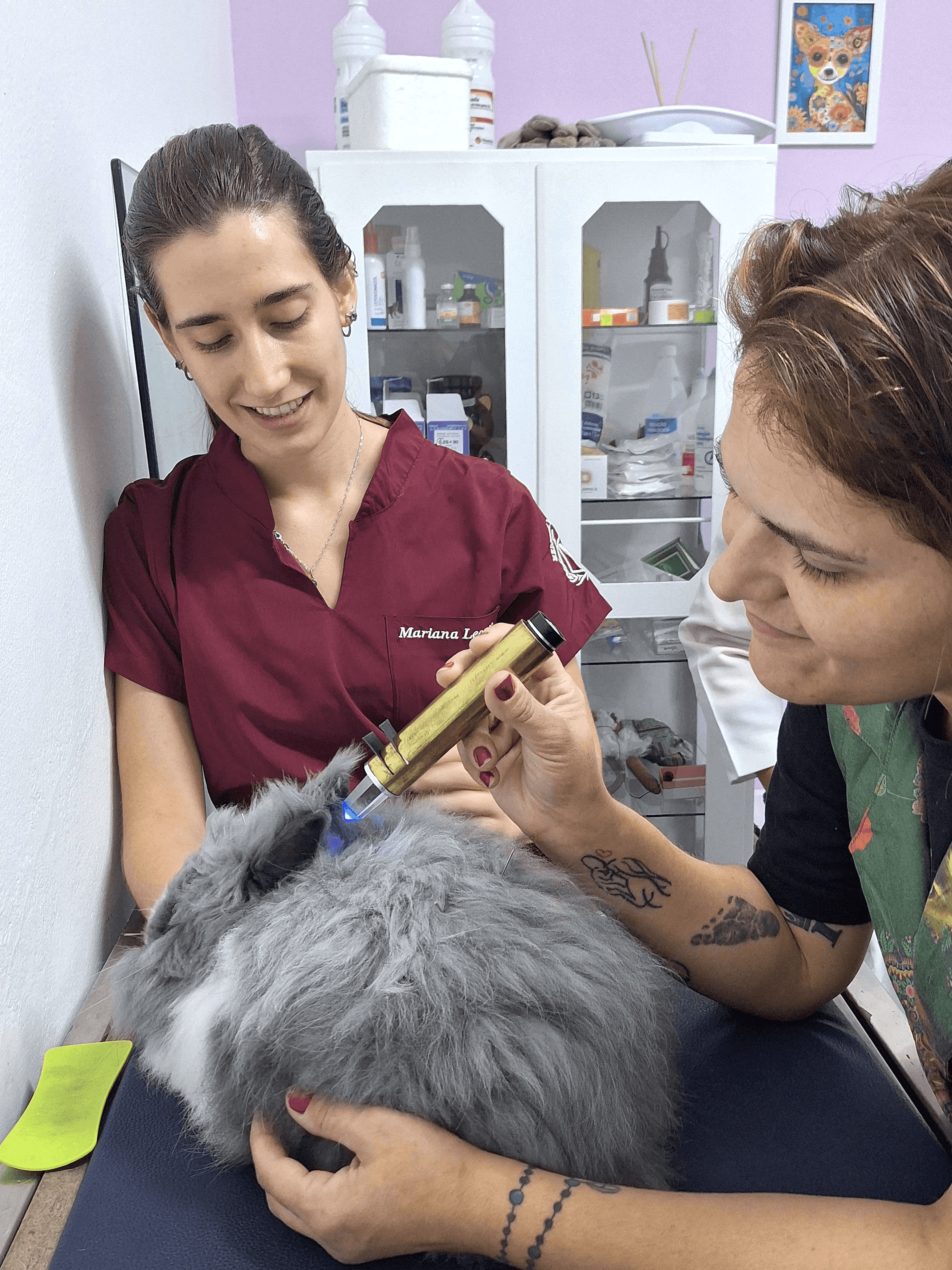 Animais Exóticos Landing Image